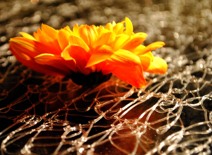 3JahreKK mff fazoletti (28)